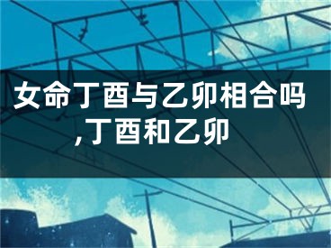 女命丁酉与乙卯相合吗,丁酉和乙卯