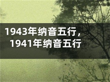 1943年纳音五行，1941年纳音五行