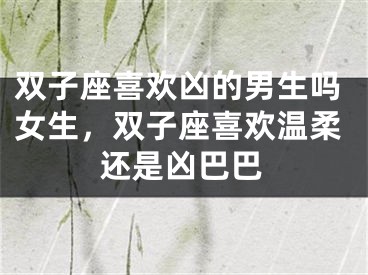 双子座喜欢凶的男生吗女生，双子座喜欢温柔还是凶巴巴