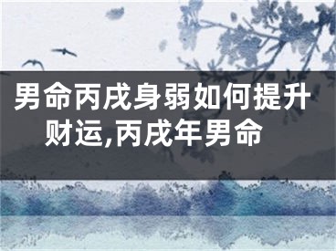 男命丙戌身弱如何提升财运,丙戌年男命