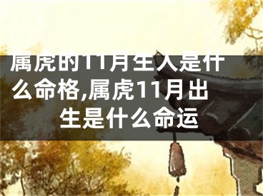 属虎的11月生人是什么命格,属虎11月出生是什么命运