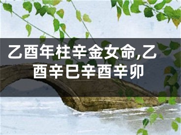 乙酉年柱辛金女命,乙酉辛巳辛酉辛卯