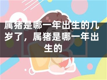 属猪是哪一年出生的几岁了，属猪是哪一年出生的