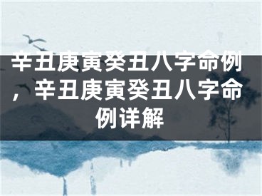 辛丑庚寅癸丑八字命例,辛丑庚寅癸丑八字命例详解