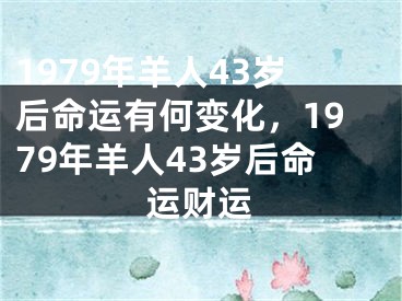 1979年羊人43岁后命运有何变化,1979年羊人43岁后命运财运