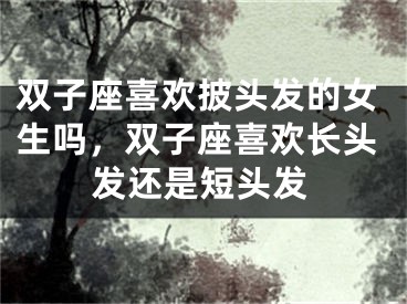 双子座喜欢披头发的女生吗，双子座喜欢长头发还是短头发