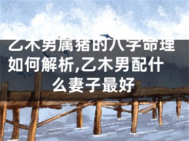 乙木男属猪的八字命理如何解析,乙木男配什么妻子最好