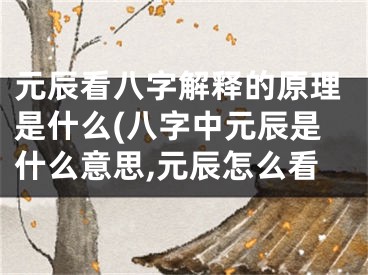 元辰看八字解释的原理是什么(八字中元辰是什么意思,元辰怎么看
