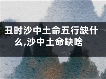 丑时沙中土命五行缺什么,沙中土命缺啥