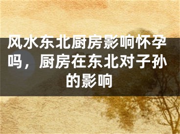 风水东北厨房影响怀孕吗,厨房在东北对子孙的影响