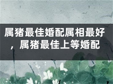 属猪最佳婚配属相最好，属猪最佳上等婚配