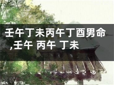 壬午丁未丙午丁酉男命,壬午 丙午 丁未