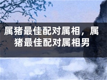 属猪最佳配对属相，属猪最佳配对属相男