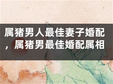属猪男人最佳妻子婚配，属猪男最佳婚配属相