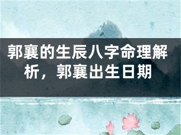 郭襄的生辰八字命理解析,郭襄出生日期