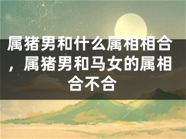 属猪男和什么属相相合，属猪男和马女的属相合不合