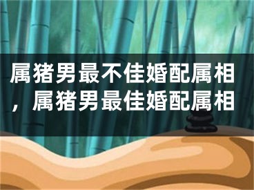 属猪男最不佳婚配属相，属猪男最佳婚配属相