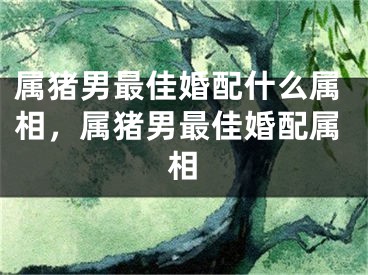 属猪男最佳婚配什么属相，属猪男最佳婚配属相