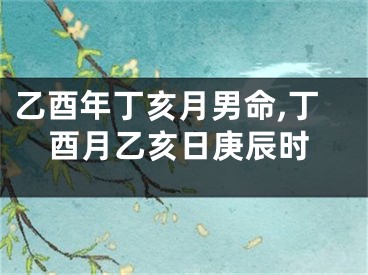 乙酉年丁亥月男命,丁酉月乙亥日庚辰时