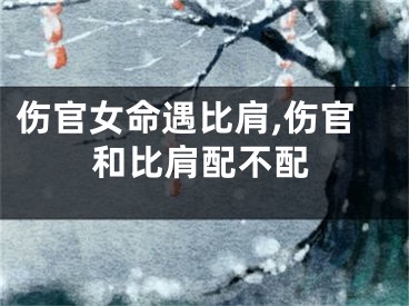 伤官女命遇比肩,伤官和比肩配不配