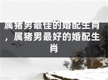 属猪男最佳的婚配生肖，属猪男最好的婚配生肖