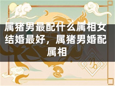 属猪男最配什么属相女结婚最好，属猪男婚配属相