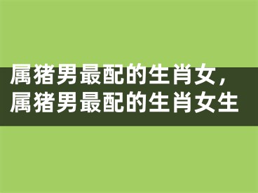 属猪男最配的生肖女，属猪男最配的生肖女生