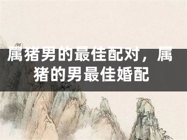 属猪男的最佳配对，属猪的男最佳婚配