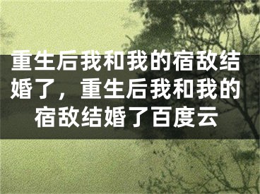 重生后我和我的宿敌结婚了，重生后我和我的宿敌结婚了百度云