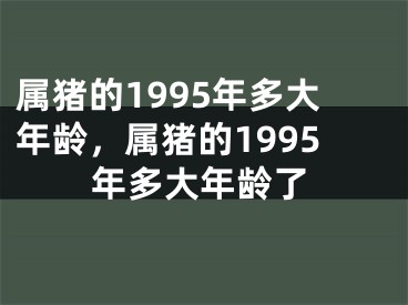 属猪的1995年多大年龄，属猪的1995年多大年龄了