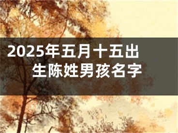 2025年五月十五出生陈姓男孩名字