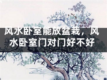 风水卧室能放盆栽，风水卧室门对门好不好