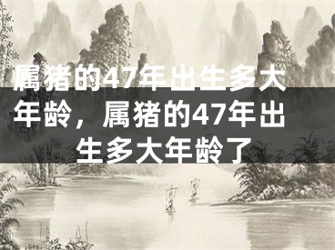 属猪的47年出生多大年龄，属猪的47年出生多大年龄了