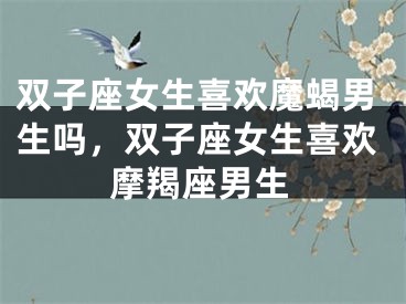 双子座女生喜欢魔蝎男生吗，双子座女生喜欢摩羯座男生