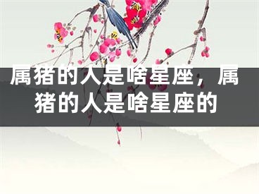 属猪的人是啥星座，属猪的人是啥星座的
