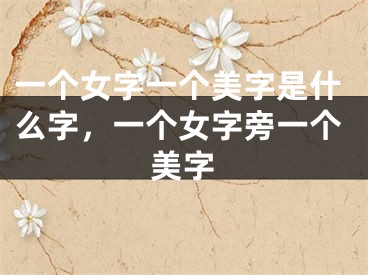 一个女字一个美字是什么字，一个女字旁一个美字