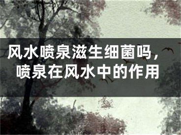 风水喷泉滋生细菌吗，喷泉在风水中的作用