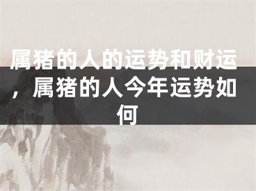 属猪的人的运势和财运，属猪的人今年运势如何
