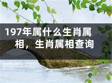 197年属什么生肖属相，生肖属相查询