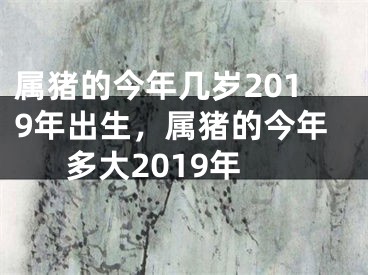 属猪的今年几岁2019年出生，属猪的今年多大2019年
