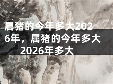 属猪的今年多大2026年，属猪的今年多大2026年多大
