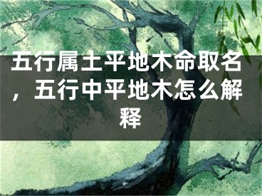 五行属土平地木命取名，五行中平地木怎么解释