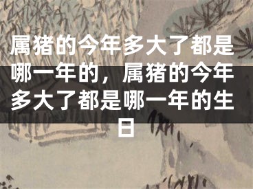 属猪的今年多大了都是哪一年的，属猪的今年多大了都是哪一年的生日