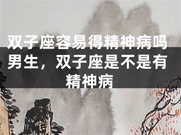 双子座容易得精神病吗男生，双子座是不是有精神病