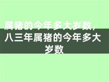 属猪的今年多大岁数，八三年属猪的今年多大岁数