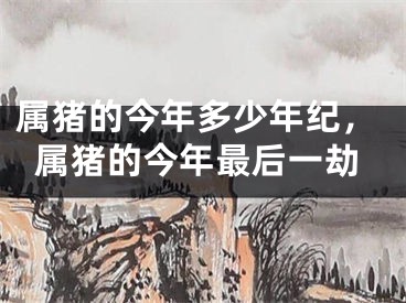 属猪的今年多少年纪，属猪的今年最后一劫