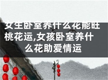 女生卧室养什么花能旺桃花运,女孩卧室养什么花助爱情运