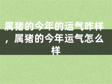 属猪的今年的运气咋样，属猪的今年运气怎么样