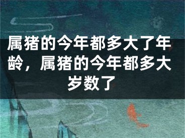 属猪的今年都多大了年龄，属猪的今年都多大岁数了