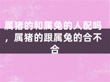 属猪的和属兔的人配吗，属猪的跟属兔的合不合